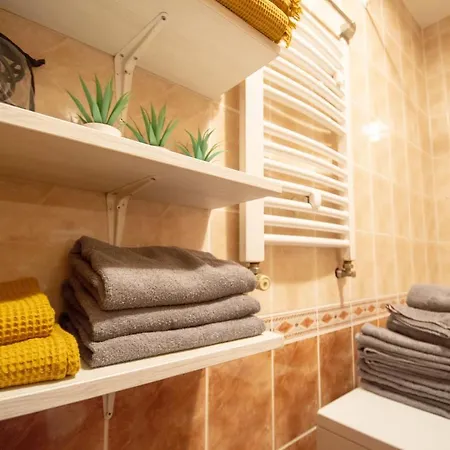 Apartment 1-bedroom Novi Sad